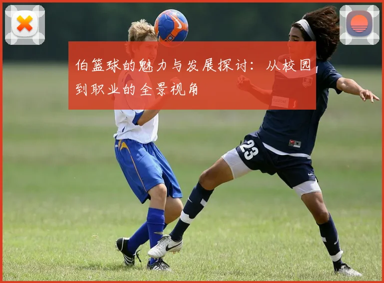 伯篮球的魅力与发展探讨：从校园到职业的全景视角