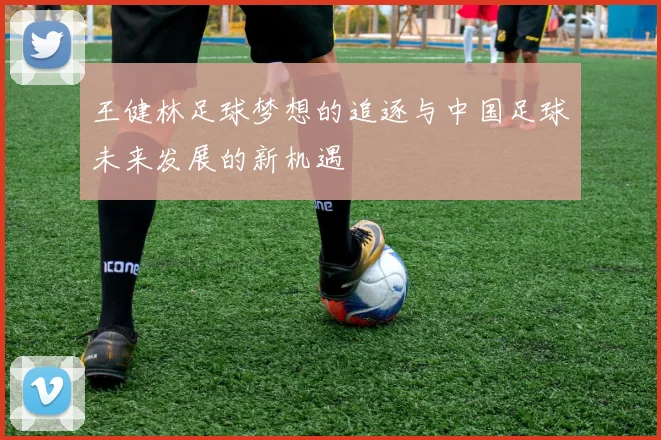 王健林足球梦想的追逐与中国足球未来发展的新机遇
