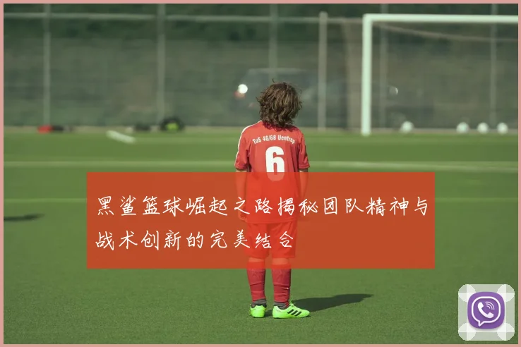 黑鲨篮球崛起之路揭秘团队精神与战术创新的完美结合