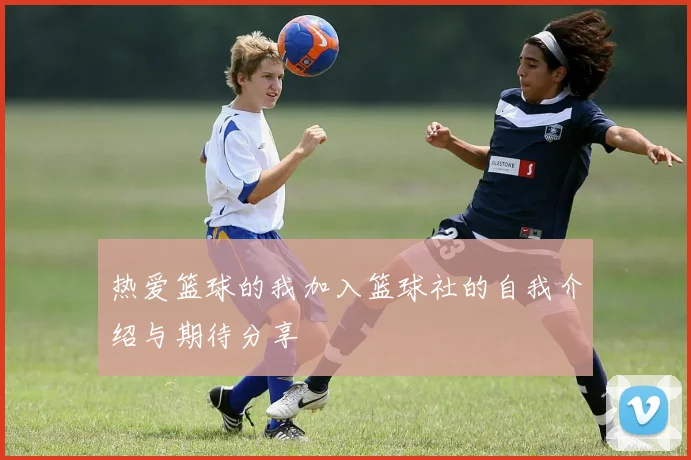 热爱篮球的我加入篮球社的自我介绍与期待分享